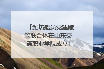 潍坊船员党建赋能联合体在山东交通职业学院成立