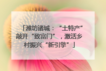 潍坊诸城：“土特产”敲开“致富门”，激活乡村振兴“新引擎”