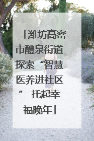 潍坊高密市醴泉街道探索“智慧医养进社区” 托起幸福晚年