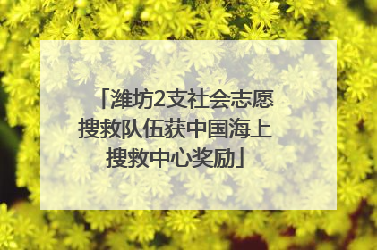 潍坊2支社会志愿搜救队伍获中国海上搜救中心奖励
