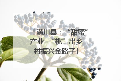 潢川县：“甜蜜”产业  “桃”出乡村振兴金路子