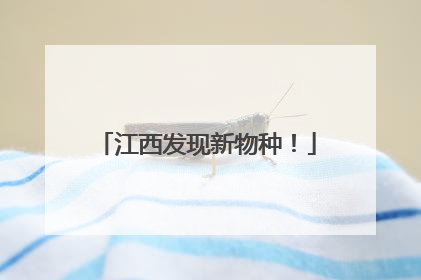 江西发现新物种！