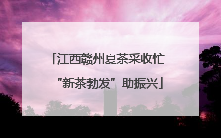 江西赣州夏茶采收忙 “新茶勃发”助振兴
