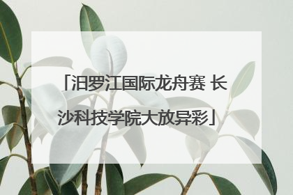 汨罗江国际龙舟赛 长沙科技学院大放异彩