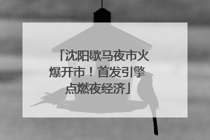 沈阳歇马夜市火爆开市！首发引擎点燃夜经济