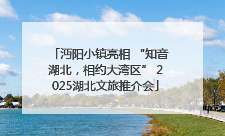 沔阳小镇亮相 “知音湖北，相约大湾区” 2025湖北文旅推介会