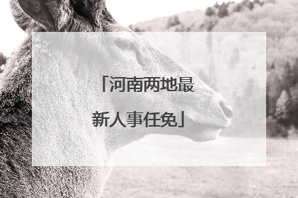 河南两地最新人事任免