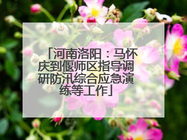 河南洛阳：马怀庆到偃师区指导调研防汛综合应急演练等工作