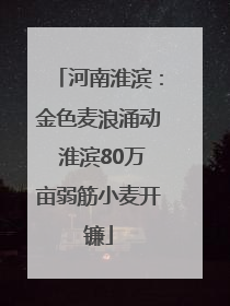 河南淮滨：金色麦浪涌动 淮滨80万亩弱筋小麦开镰