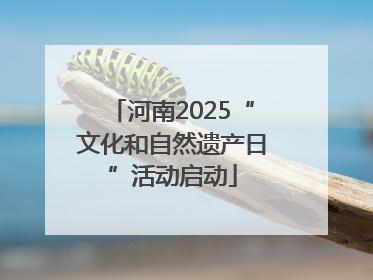 河南2025“文化和自然遗产日”活动启动