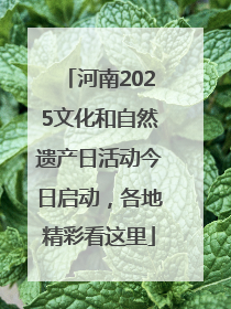 河南2025文化和自然遗产日活动今日启动，各地精彩看这里