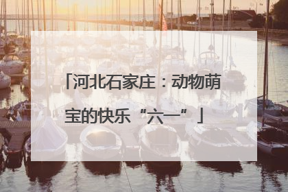 河北石家庄：动物萌宝的快乐“六一”