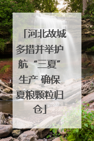 河北故城多措并举护航“三夏”生产 确保夏粮颗粒归仓