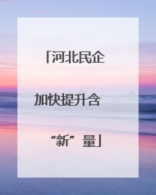 河北民企加快提升含“新”量