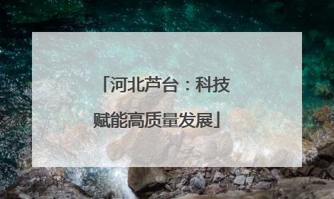 河北芦台：科技赋能高质量发展