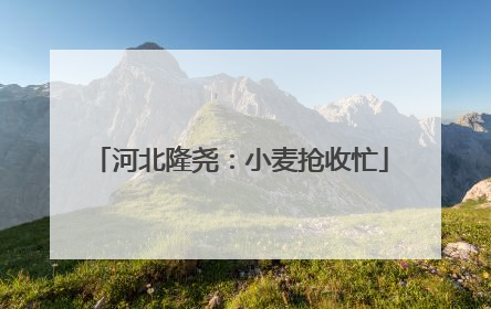 河北隆尧：小麦抢收忙