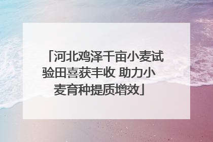 河北鸡泽千亩小麦试验田喜获丰收 助力小麦育种提质增效