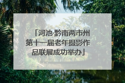 河池·黔南两市州第十一届老年摄影作品联展成功举办