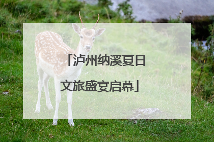 泸州纳溪夏日文旅盛宴启幕