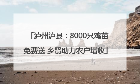 泸州泸县：8000只鸡苗免费送 乡贤助力农户增收