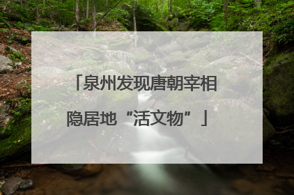 泉州发现唐朝宰相隐居地“活文物”