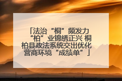 法治“桐”频发力 “柏”业锦绣正兴 桐柏县政法系统交出优化营商环境“成绩单”