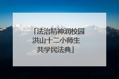 法治精神润校园 洪山十二小师生共学民法典