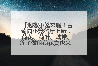 泡椒小笼来啦！古猗园小笼餐厅上新，荷花、荷叶、藕带、莲子做的荷花宴也来尝一下？