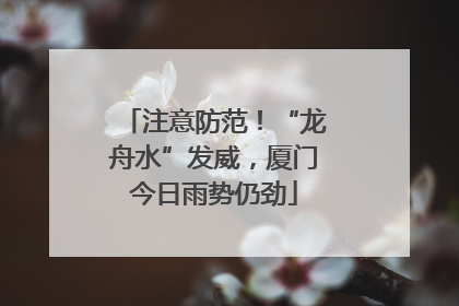 注意防范！“龙舟水”发威，厦门今日雨势仍劲