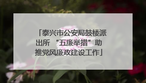 泰兴市公安局鼓楼派出所 “五廉举措”助推党风廉政建设工作