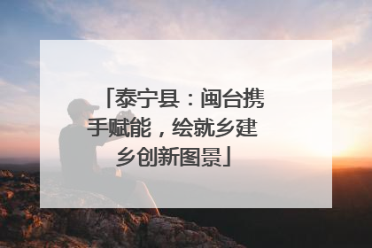 泰宁县：闽台携手赋能，绘就乡建乡创新图景