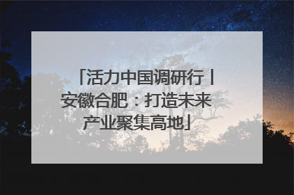 活力中国调研行丨安徽合肥：打造未来产业聚集高地
