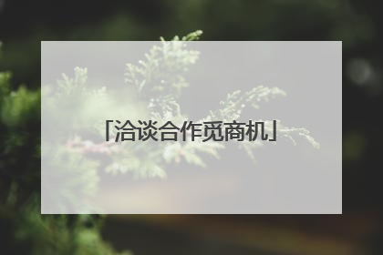 洽谈合作觅商机