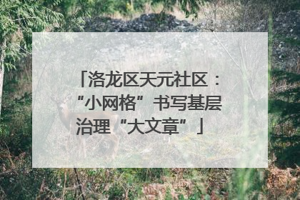 洛龙区天元社区：“小网格”书写基层治理“大文章”