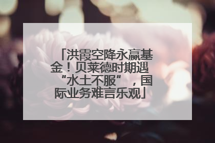 洪霞空降永赢基金！贝莱德时期遇“水土不服”，国际业务难言乐观