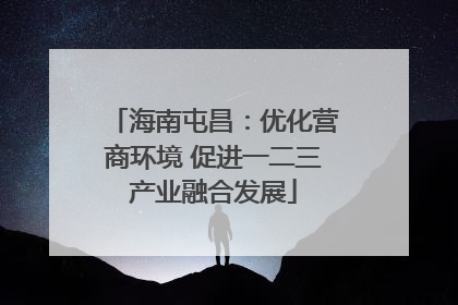 海南屯昌：优化营商环境 促进一二三产业融合发展