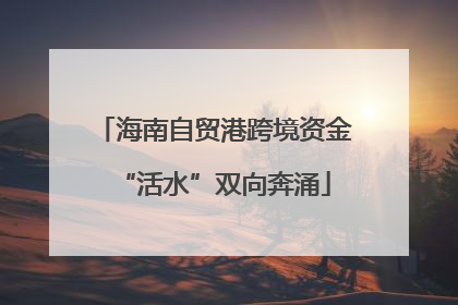 海南自贸港跨境资金“活水”双向奔涌