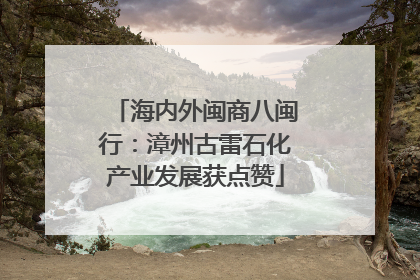 海内外闽商八闽行：漳州古雷石化产业发展获点赞