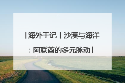 海外手记丨沙漠与海洋：阿联酋的多元脉动