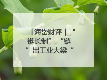 海岱财评｜“链长制” “链”出工业大梁“钢筋铁骨”