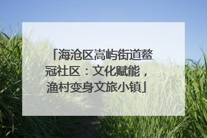 海沧区嵩屿街道鳌冠社区：文化赋能，渔村变身文旅小镇