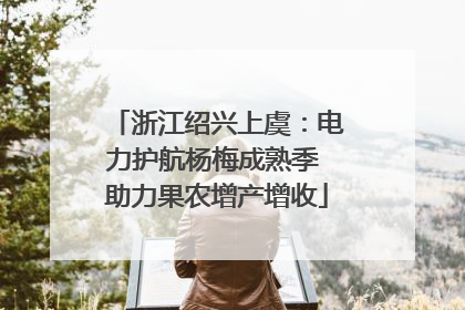 浙江绍兴上虞：电力护航杨梅成熟季 助力果农增产增收