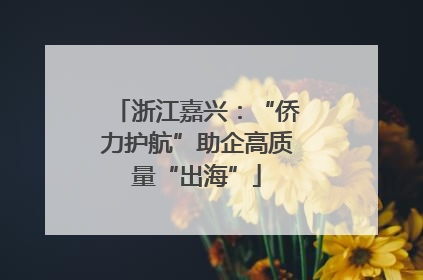 浙江嘉兴：“侨力护航”助企高质量“出海”