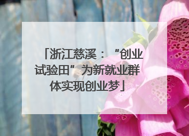 浙江慈溪：“创业试验田”为新就业群体实现创业梦