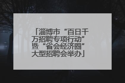 淄博市“百日千万招聘专项行动”暨“省会经济圈”大型招聘会举办