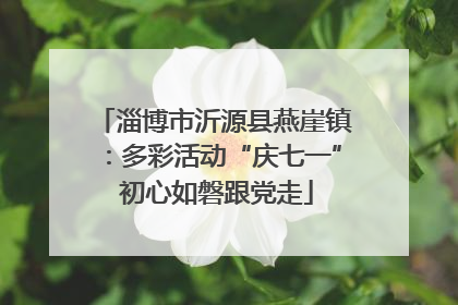 淄博市沂源县燕崖镇：多彩活动“庆七一” 初心如磐跟党走