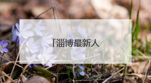 淄博最新人事任免！