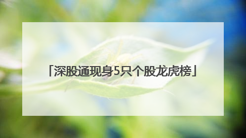 深股通现身5只个股龙虎榜