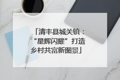 清丰县城关镇：“星辉闪耀”打造乡村共富新图景