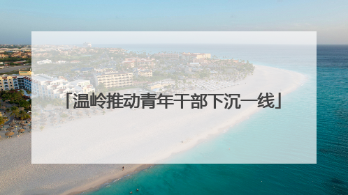 温岭推动青年干部下沉一线